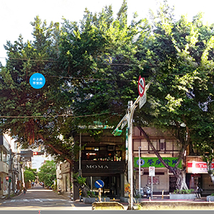 大南路雙號網店商城